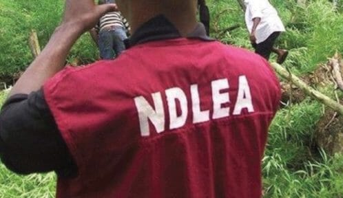 NDLEA Raid on Lagos Island: We are on trail of drug barons, peddlers, INFINITY LOADED NDLEA Raid on Lagos Island: We are on trail of drug barons, peddlers, NDLEA Raid on Lagos Island: We are on trail of drug barons, peddlers, INFINITY LOADED