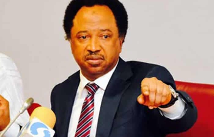 SENETOR SHEHU SANI--MAN WHO HAS LOST HOUSE OF REPS TICKET IN KADUNA RECOVERS OVER N100 MILLION NAIRA, INFINITY LOADED SENETOR SHEHU SANI--MAN WHO HAS LOST HOUSE OF REPS TICKET IN KADUNA RECOVERS OVER N100 MILLION NAIRA, SENETOR SHEHU SANI–MAN WHO HAS LOST HOUSE OF REPS TICKET IN KADUNA RECOVERS OVER N100 MILLION NAIRA, INFINITY LOADED