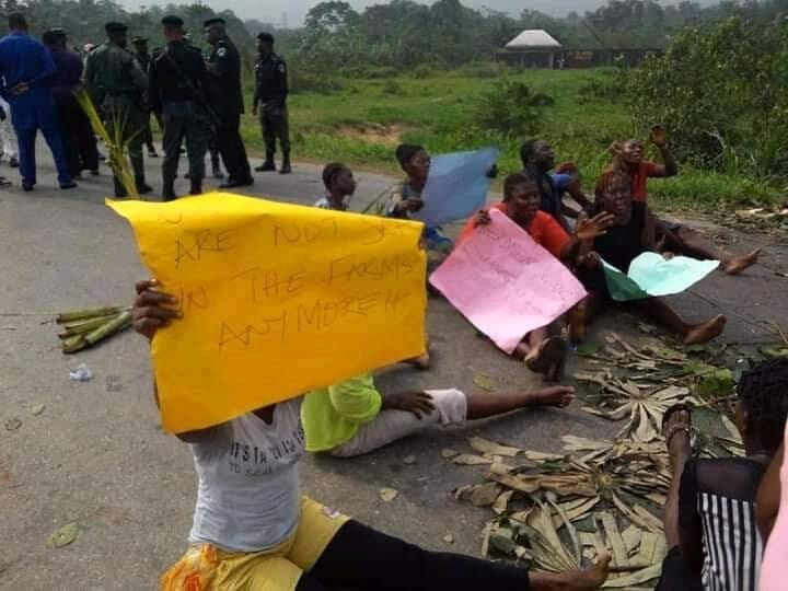 Women protest invasion, and destruction of farmlands by herdsmen in communities in Bayelsa state Ngeria, INFINITY LOADED Women protest invasion, and destruction of farmlands by herdsmen in communities in Bayelsa state Ngeria, Women protest invasion, and destruction of farmlands by herdsmen in communities in Bayelsa state Ngeria, INFINITY LOADED
