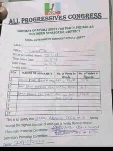 AYADE'S APC SENATORIAL AMBITION SUFFERS SETBACK AS WOMAN FLOWS HIM IN ELECTION, AYADE’S APC SENATORIAL AMBITION SUFFERS SETBACK AS WOMAN FLOWS HIM IN ELECTION, INFINITY LOADED