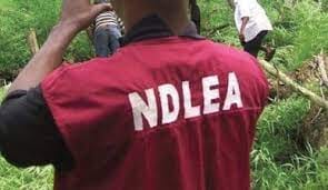 NDLEA ARREST ROMAN CATHOLIC KNIGHT AND COUSIN IN POSSESSION OF 2.169 KILOGRAMS OF HEROIN, INFINITY LOADED NDLEA ARREST ROMAN CATHOLIC KNIGHT AND COUSIN IN POSSESSION OF 2.169 KILOGRAMS OF HEROIN, NDLEA ARREST ROMAN CATHOLIC KNIGHT AND COUSIN IN POSSESSION OF 2.169 KILOGRAMS OF HEROIN, INFINITY LOADED