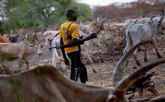 How Oyo Amotekun commander predicted invasion of killer Fulani herders into south-west, INFINITY LOADED How Oyo Amotekun commander predicted invasion of killer Fulani herders into south-west, How Oyo Amotekun commander predicted invasion of killer Fulani herders into south-west, INFINITY LOADED