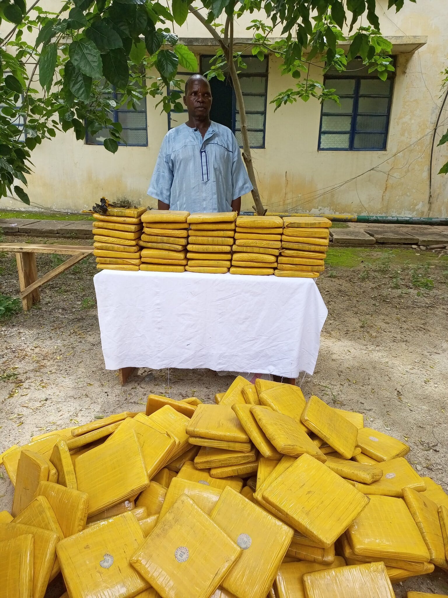 Katsina Police Command Arrest Suspected Transborder Indian Hemp Dealer, Katsina Police Command Arrest Suspected Transborder Indian Hemp Dealer, INFINITY LOADED