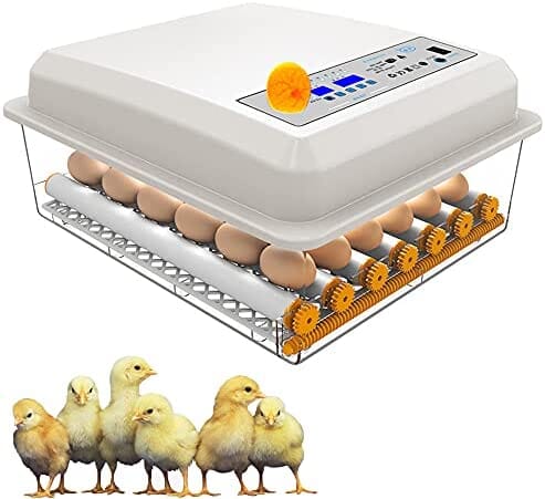 A Complete Guide On How To Incubate Chicken Eggs, INFINITY LOADED A Complete Guide On How To Incubate Chicken Eggs, A Complete Guide On How To Incubate Chicken Eggs, INFINITY LOADED