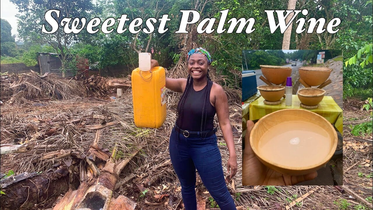 8 Health Benefits Of Palm Wine, 8 Health Benefits Of Palm Wine, INFINITY LOADED