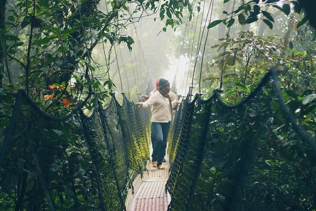 Interesting Facts About The Obudu Cattle Ranch In Cross River State, Nigeria, Interesting Facts About The Obudu Cattle Ranch In Cross River State, Nigeria, INFINITY LOADED
