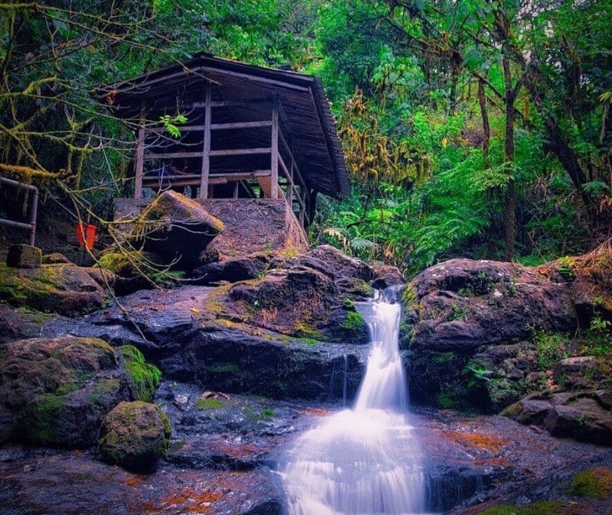 Interesting Facts About The Obudu Cattle Ranch In Cross River State, Nigeria, Interesting Facts About The Obudu Cattle Ranch In Cross River State, Nigeria, INFINITY LOADED