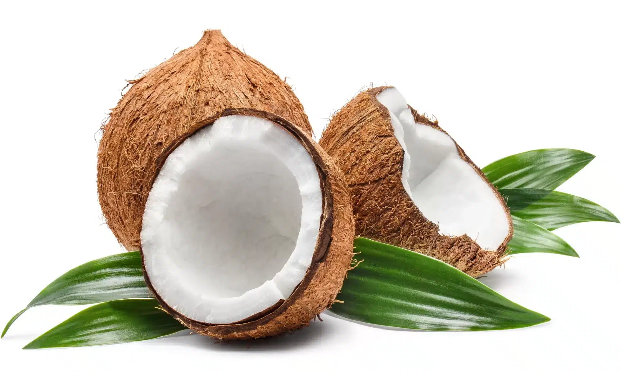 30 Incredible Health Benefits Of Coconut And Its Nutritional Value That You Didn't Know, 30 Incredible Health Benefits Of Coconut And Its Nutritional Value That You Didn’t Know, INFINITY LOADED