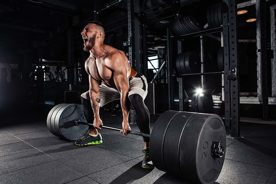 90+ Greatest Muscle Building Tips That Works Like Magic, INFINITY LOADED 90+ Greatest Muscle Building Tips That Works Like Magic, 90+ Greatest Muscle Building Tips That Works Like Magic, INFINITY LOADED